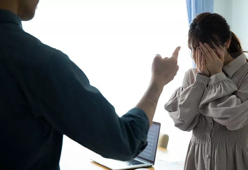 民事/刑事訴訟用諧音罵人之法律責任？