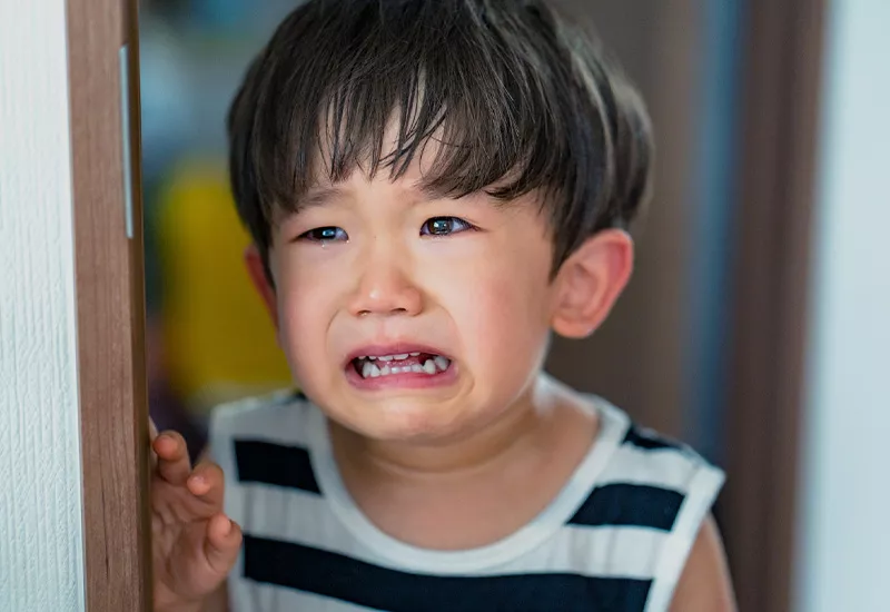 家事訴訟子女最佳利益(上)